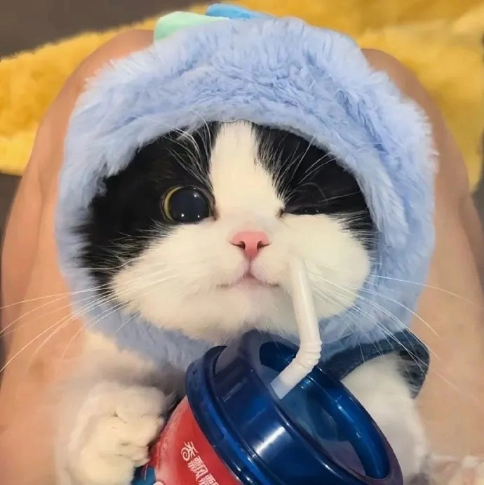 良哥的头像-百盟网