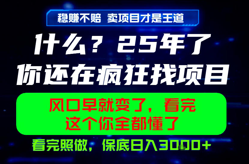 26年，请不要疯狂的找项目做了！卖项目才是真的稳賺不赔，看完照做，保底日入1k+【揭秘】-百盟网