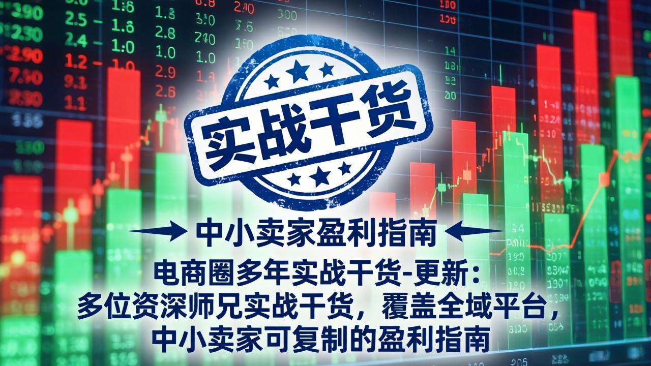 电商圈多年实战干货-更新5月10：多位资深师兄实战干货/覆盖全域平台，中小卖家可复制的盈利指南-百盟网