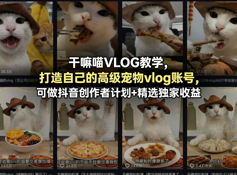 干嘛喵VLOG教学，打造自己的高级宠物vlog账号，可做抖音创作者计划+精选独家收益-百盟网